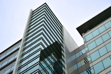 Lo que Tu Empresa (y T&uacute;) No Pueden Ignorar para Arrancar con &Eacute;xito